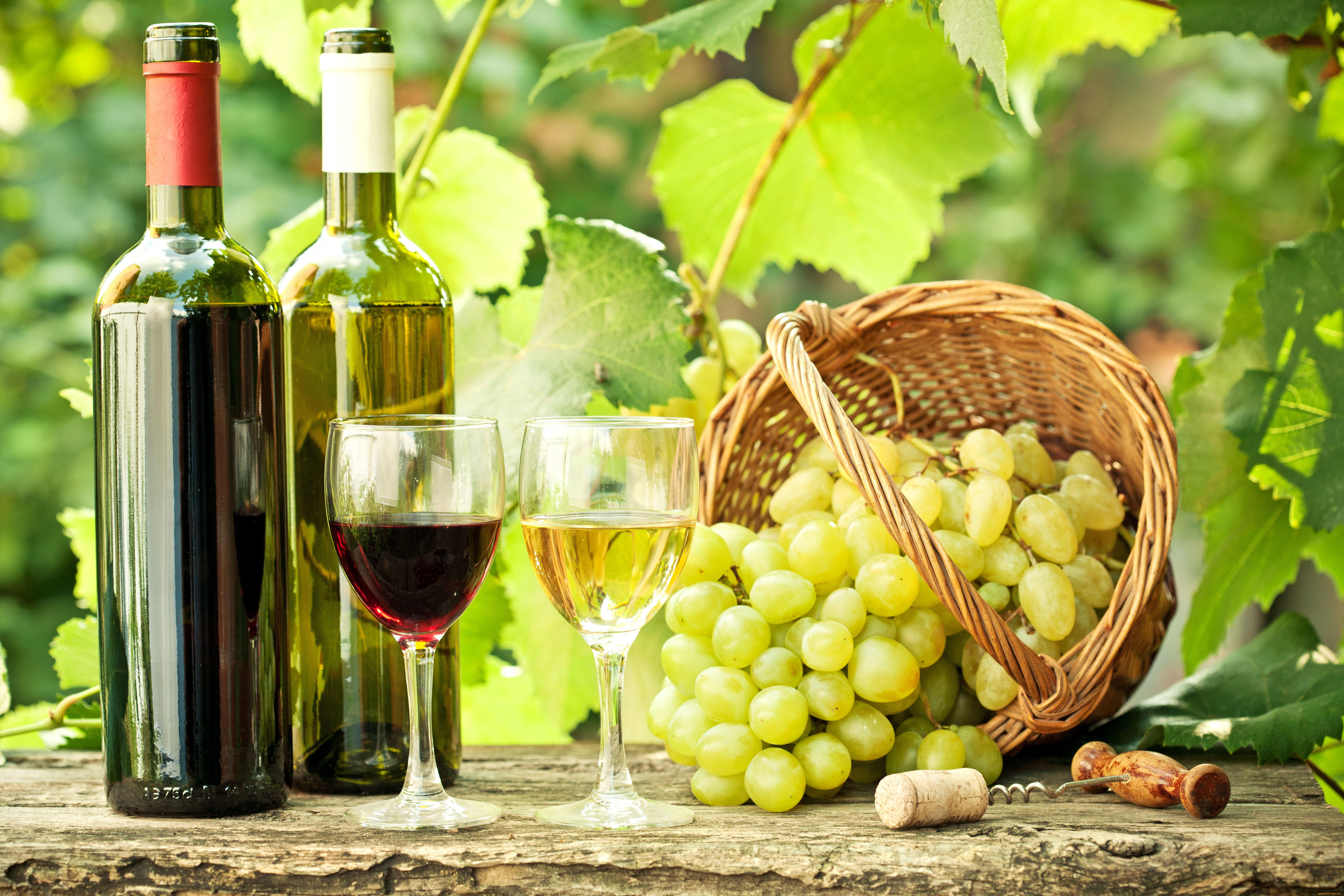 Виноград для вина купить. Ркацители виноград. Вино белое vinogradnoe. Вино и виноград. Виноградники вино.